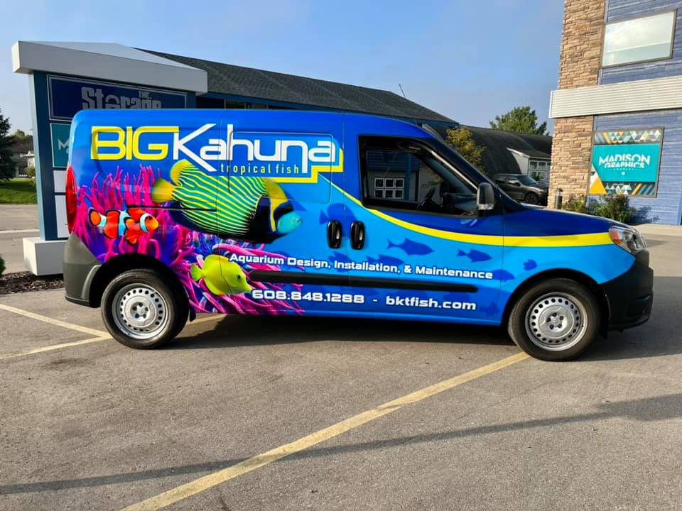 Graphics Wrapped on van
